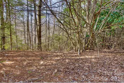 65 Blue Ridge Gem Stone Road, Little Switzerland, NC 28777 - Photo 9