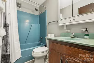 1971 Buffalo Creek Rd, Lake Lure, NC 28746 - Photo 17