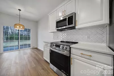 10209 Blakeney Preserve Drive, Charlotte, NC 28277 - Photo 3