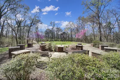 10209 Blakeney Preserve Drive, Charlotte, NC 28277 - Photo 35