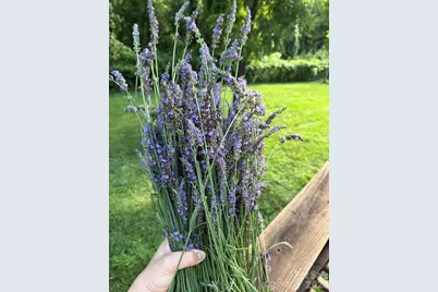 65 Owenby Road, Candler, NC 28715 - Photo 15