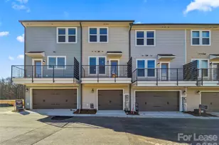 1116 Bismuth Ln, Charlotte, NC 28211 - Photo 5