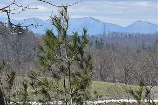 365 Trout Brook Loop, Newland, NC 28657 - Photo 23