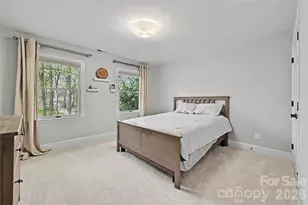 4841 Mountain Point Ln, Charlotte, NC 28216 - Photo 37