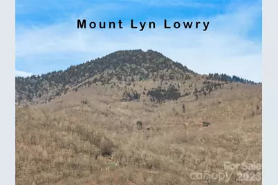 33 Freedom Drive, Waynesville, NC 28786 - Photo 5