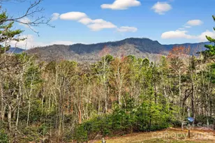 182 Baby Fox Dr, Marion, NC 28752 - Photo 5