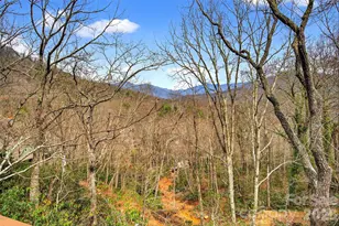 169 Hilltop Rd, Black Mountain, NC 28711 - Photo 17