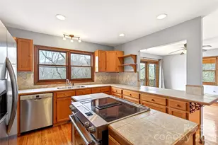 169 Hilltop Rd, Black Mountain, NC 28711 - Photo 19