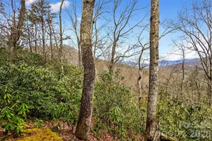 169 Hilltop Rd, Black Mountain, NC 28711 - Photo 13