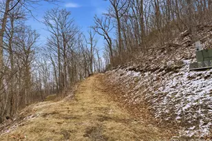 301 Awohali Trail, Maggie Valley, NC 28751 - Photo 5