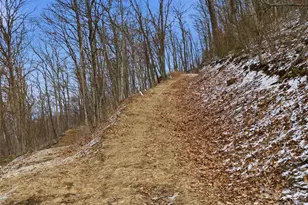 301 Awohali Trail, Maggie Valley, NC 28751 - Photo 15