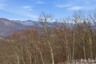 301 Awohali Trail, Maggie Valley, NC 28751 - Photo 17