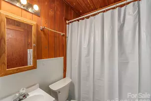 20 Zemery Ln, Waynesville, NC 28786 - Photo 31