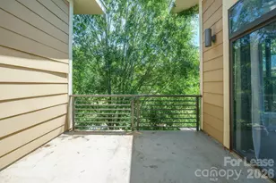 3435 Spencer St, Charlotte, NC 28205 - Photo 31