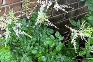 2008 Kings Rd, Shelby, NC 28150 - Photo 33