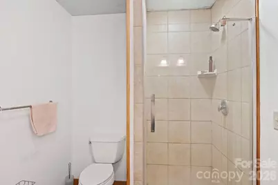 97 Old Cove Road, Black Mountain, NC 28711 - Photo 27