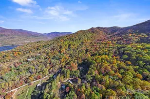 97 Old Cv Rd, Black Mountain, NC 28711 - Photo 33