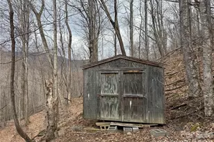 17619 Nc 209 Hwy, Hot Springs, NC 28743 - Photo 5