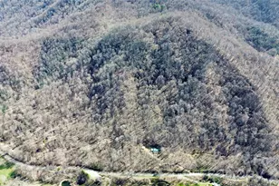 17619 Nc 209 Hwy, Hot Springs, NC 28743 - Photo 3