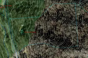 17619 Nc 209 Hwy, Hot Springs, NC 28743 - Photo 11