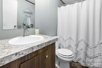 256 Inglewood Cove Road, Waynesville, NC 28786 - Photo 19