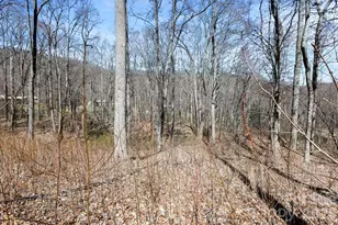 256 Inglewood Cove Rd, Waynesville, NC 28786 - Photo 29