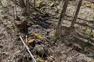 256 Inglewood Cove Rd, Waynesville, NC 28786 - Photo 23