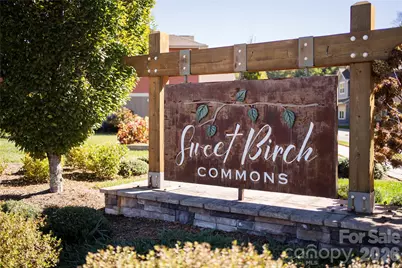 509 Sweet Birch Park Lane, Black Mountain, NC 28711 - Photo 33