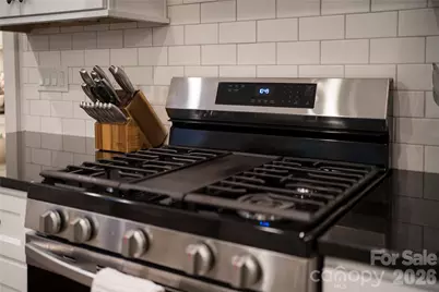 509 Sweet Birch Park Lane, Black Mountain, NC 28711 - Photo 11