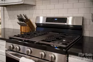 509 Sweet Birch Park Ln, Black Mountain, NC 28711 - Photo 11