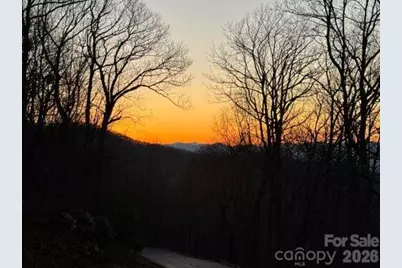 96 Castanea Mountain Drive, Asheville, NC 28803 - Photo 7