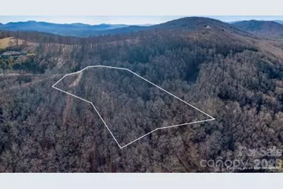 96 Castanea Mountain Drive, Asheville, NC 28803 - Photo 13