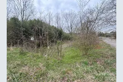 99999 Tatoonie Lane, Asheville, NC 28804 - Photo 1