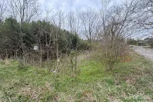 99999 Tatoonie Ln, Asheville, NC 28804 - Photo 1