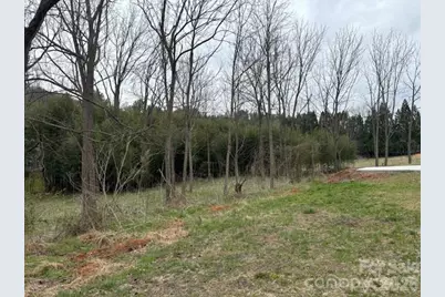 99999 Tatoonie Lane, Asheville, NC 28804 - Photo 3