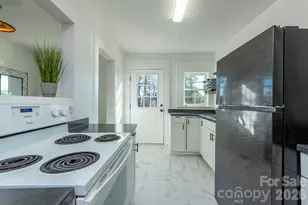 17 Springdale Ave, Asheville, NC 28803 - Photo 19