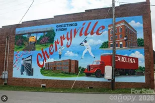 514 N Mulberry St, Cherryville, NC 28021 - Photo 35