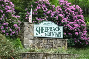 399 Bent Tree Rd, Maggie Valley, NC 28751 - Photo 37