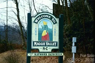 399 Bent Tree Rd, Maggie Valley, NC 28751 - Photo 41