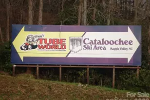 399 Bent Tree Rd, Maggie Valley, NC 28751 - Photo 45