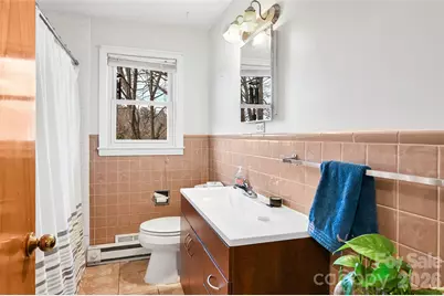 297 White Pine Drive, Asheville, NC 28805 - Photo 13