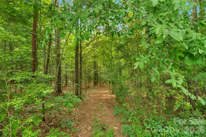 0000 Lucy Short Cut Road #3, Marshville, NC 28103 - Photo 27