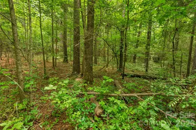 0000 Lucy Short Cut Road #3, Marshville, NC 28103 - Photo 23