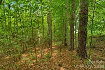 0000 Lucy Short Cut Road #3, Marshville, NC 28103 - Photo 25