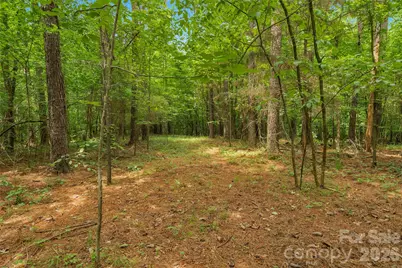 0000 Lucy Short Cut Road #3, Marshville, NC 28103 - Photo 17