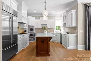 12627 Nine Bark Trl, Charlotte, NC 28278 - Photo 15