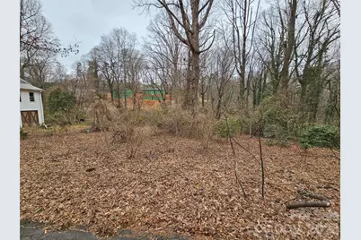 0 Pine Street #25, Tryon, NC 28782 - Photo 3