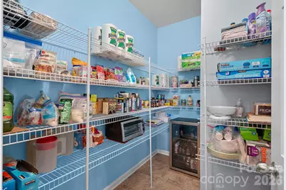 16723 Hugh Torance Parkway, Huntersville, NC 28078 - Photo 19