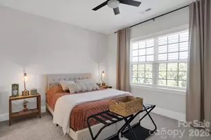 2419 Spring Rock Pl, Huntersville, NC 28078 - Photo 33