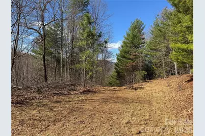 270 Anielee Lane, Clyde, NC 28721 - Photo 27